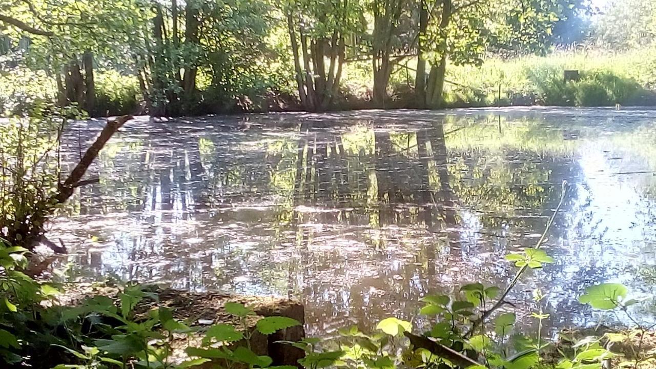 Saint-Maurice-lès-Charencey Domaine De Gentilly מראה חיצוני תמונה