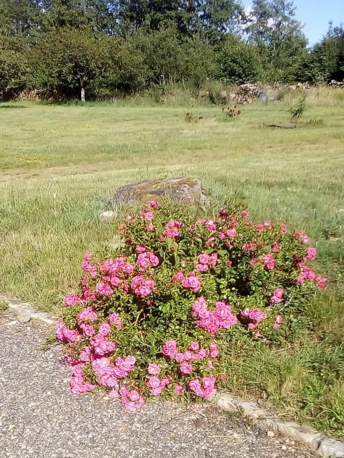 Saint-Maurice-lès-Charencey Domaine De Gentilly מראה חיצוני תמונה