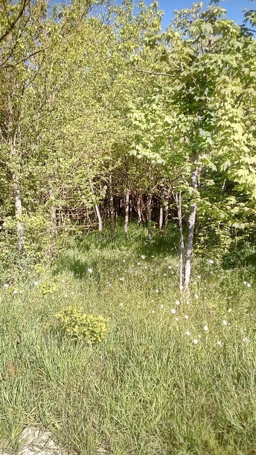 Saint-Maurice-lès-Charencey Domaine De Gentilly מראה חיצוני תמונה